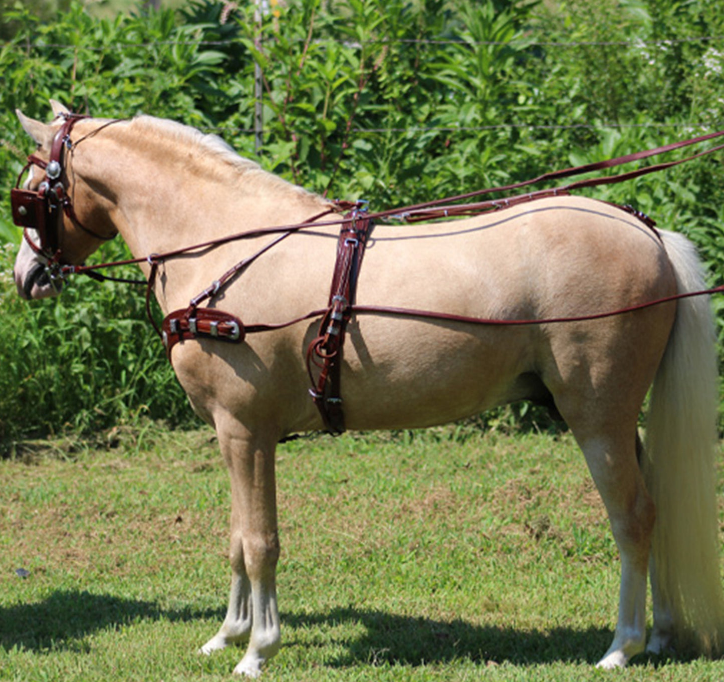 Mose Miller Western Leather Show Harness