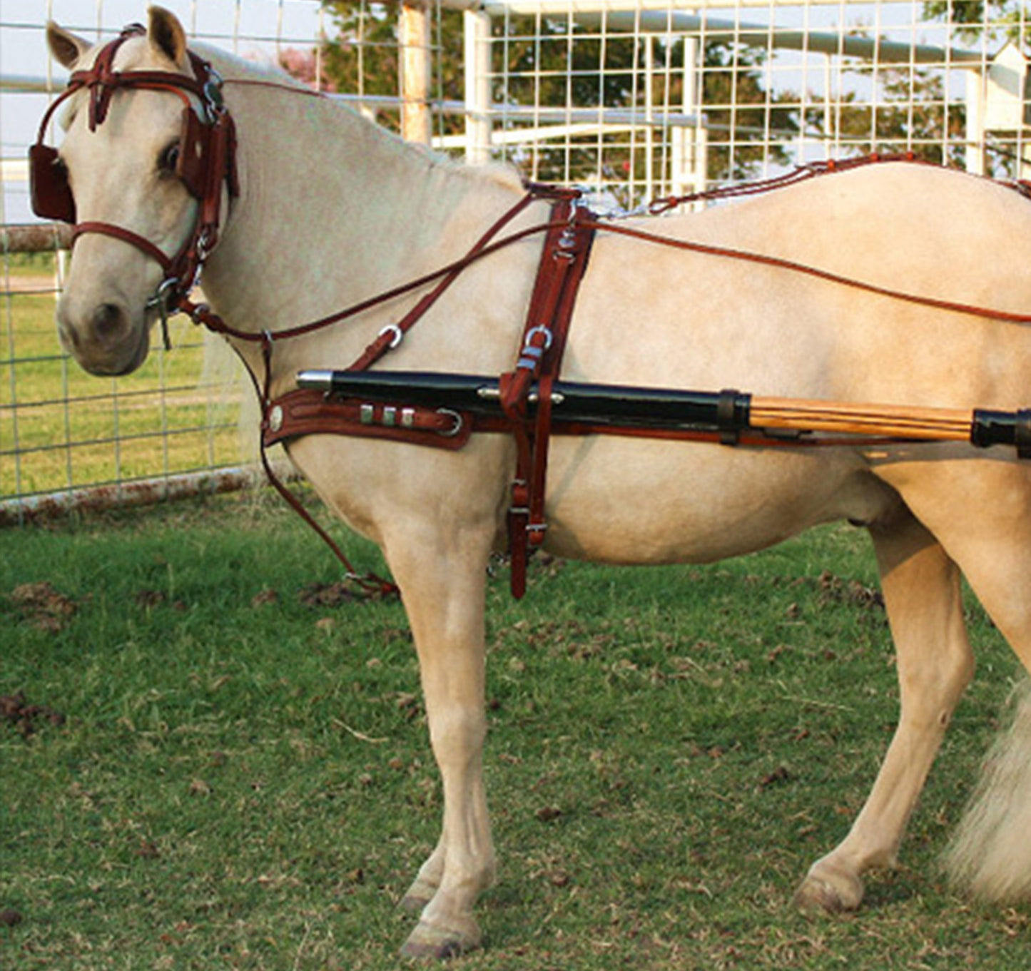 Mose Miller Western Leather Show Harness